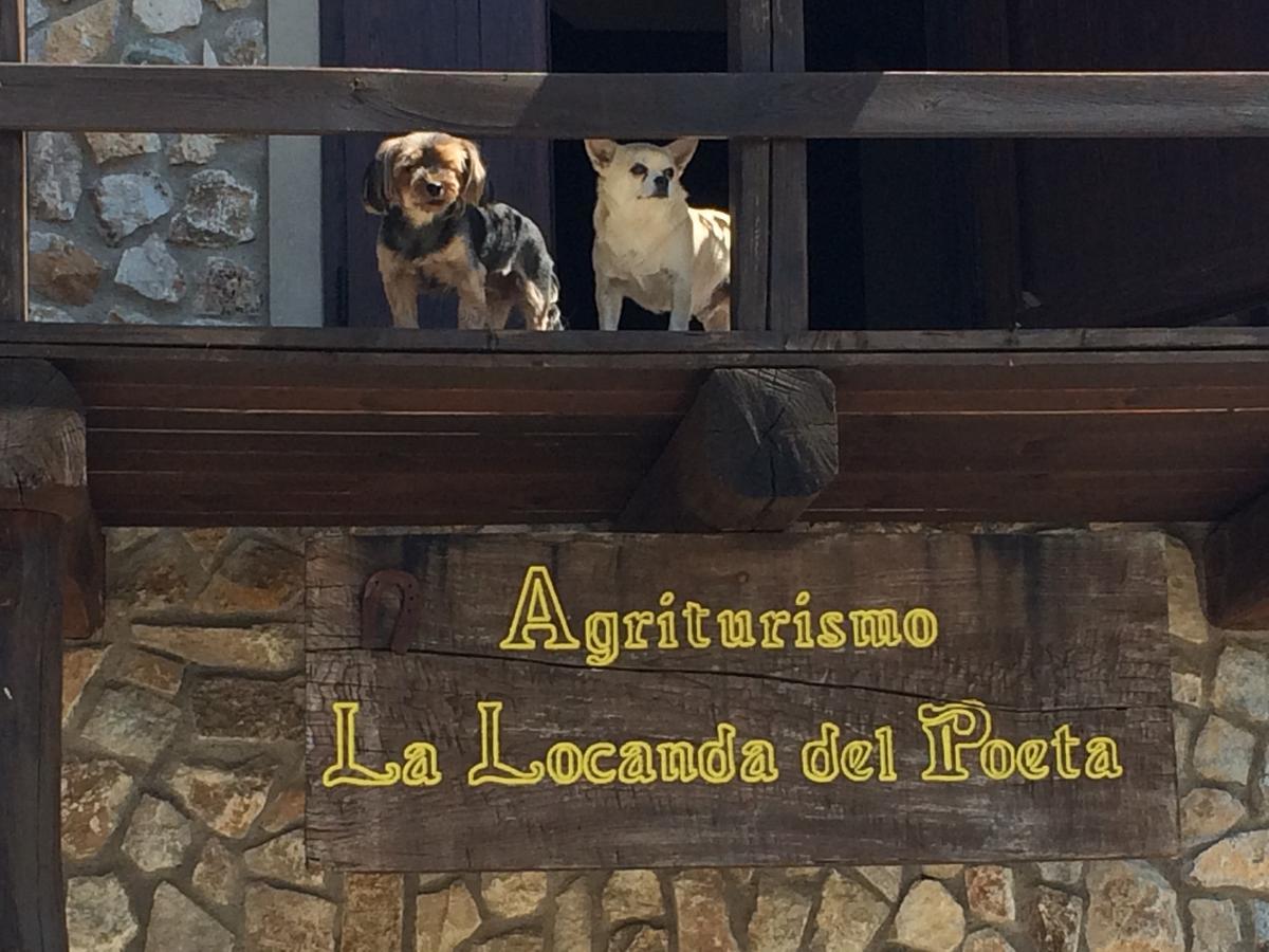 La Locanda Del Poeta 아크리 외부 사진